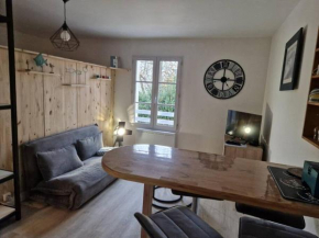 Appartement studio Pompon, Wifi, 2 couchages, charme, centre historique